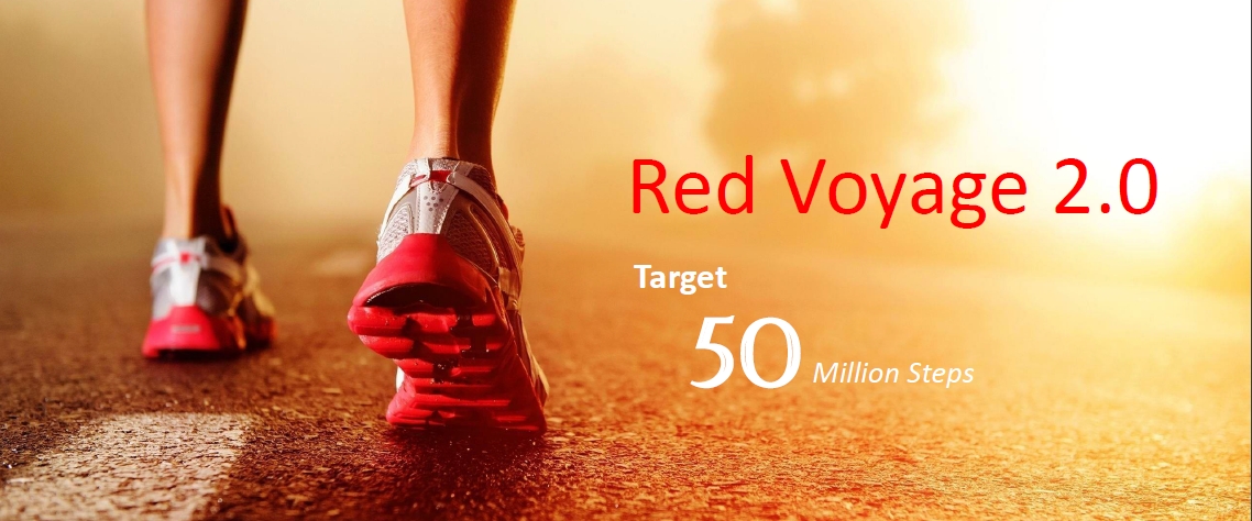 Red Voyage 3.0 banner