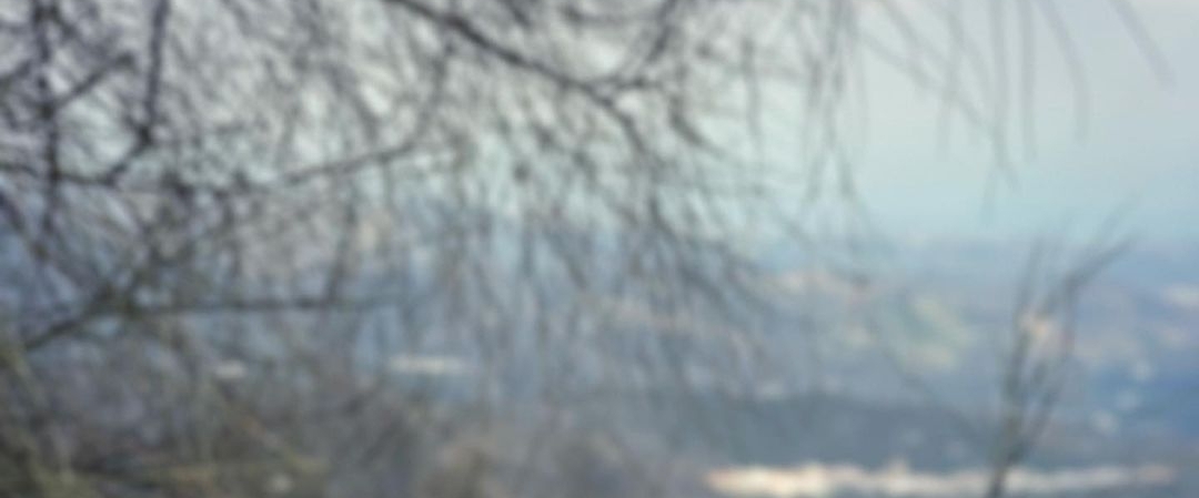 Walk on Kovai banner