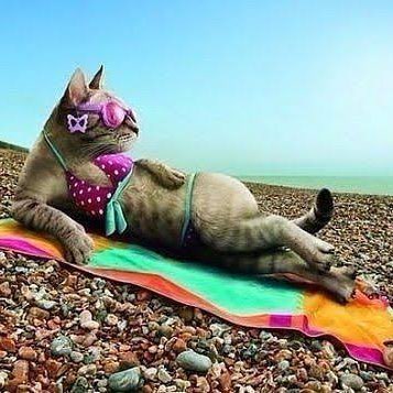 Hurghada: 10000 steps per day logo