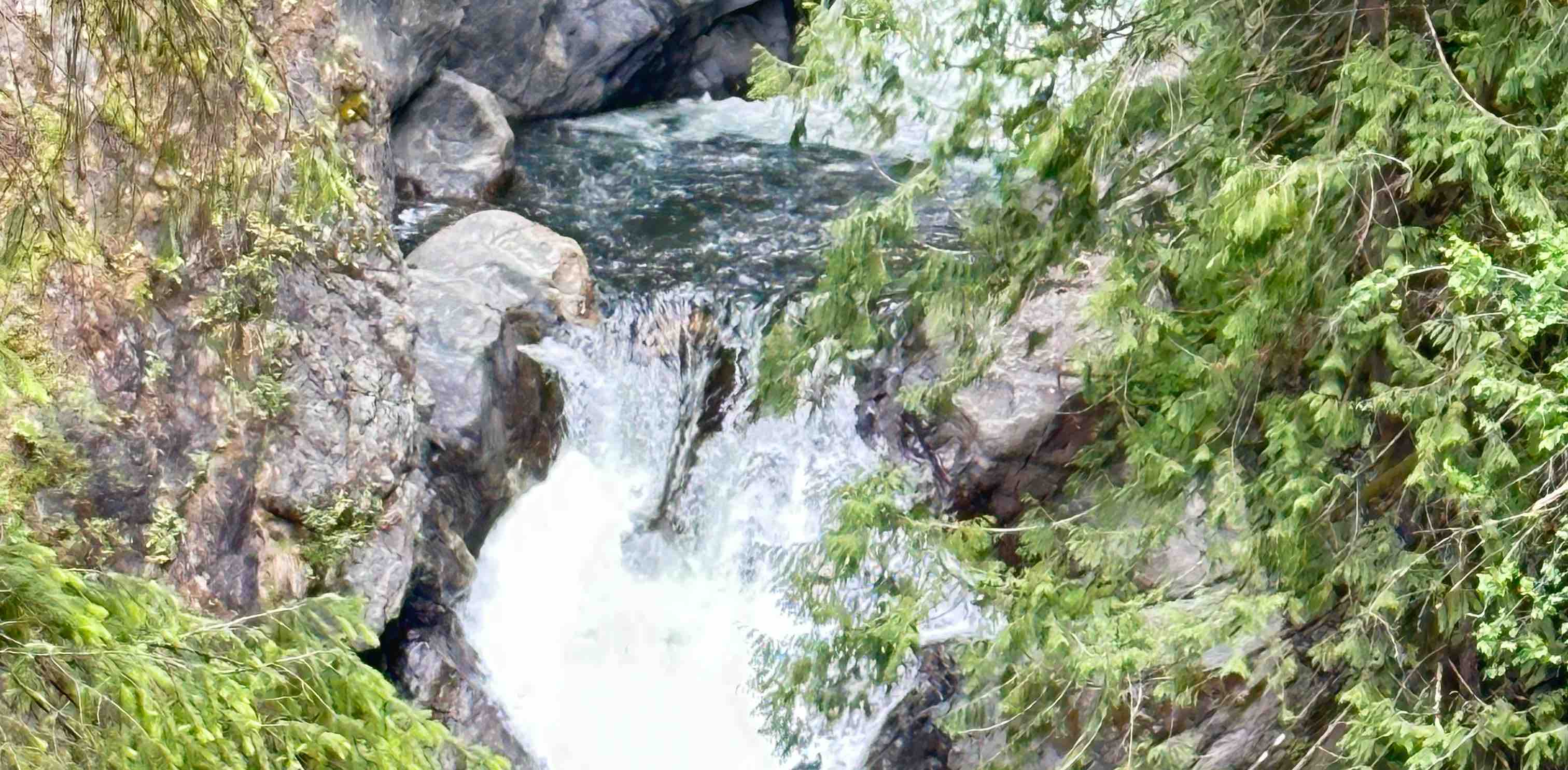 walking group banner