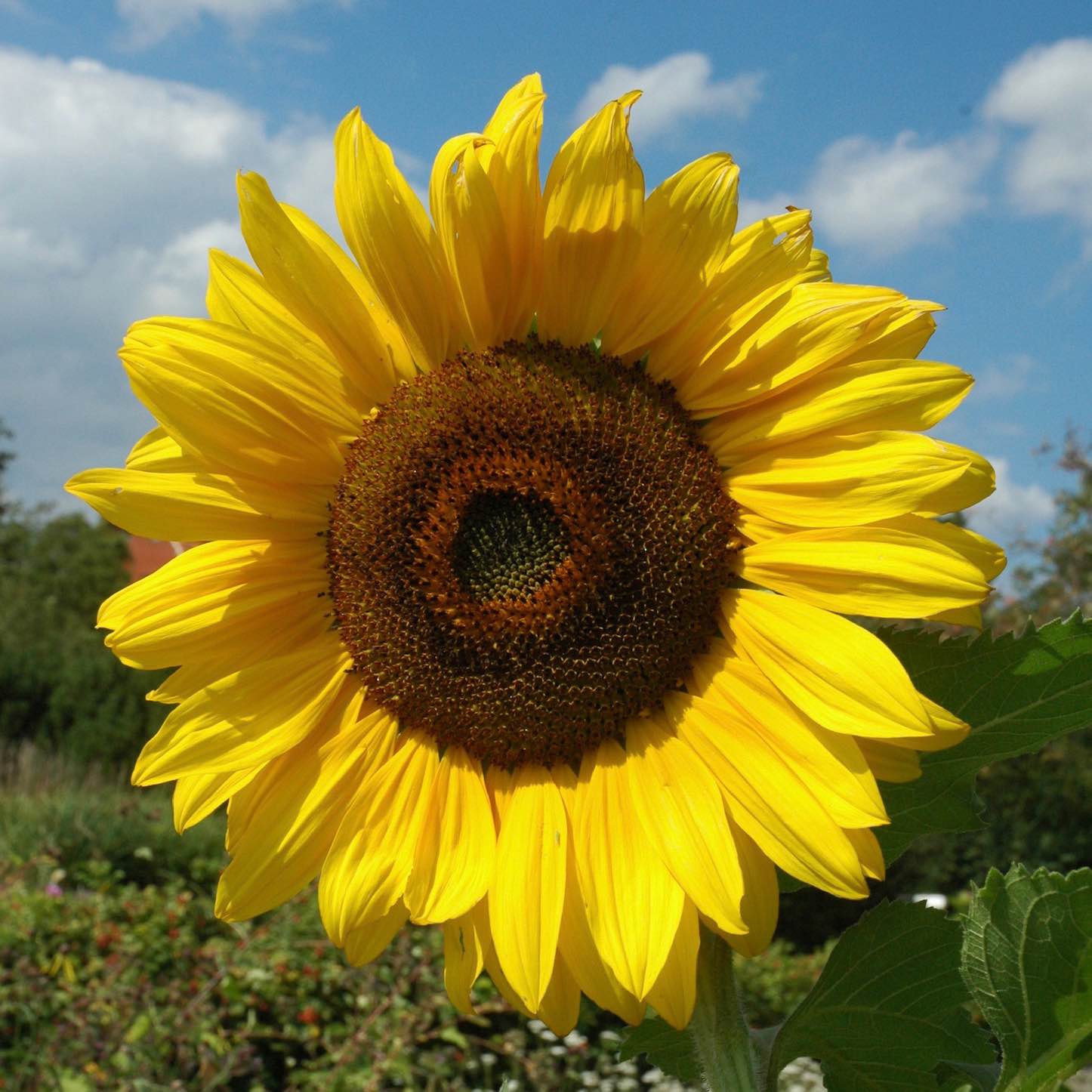 Einfach nur bewegen 😀 logo