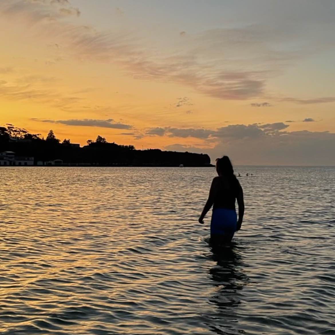 step it step it up logo