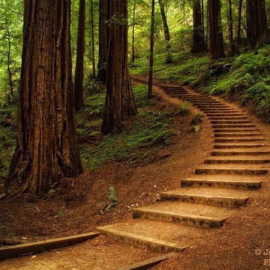 💖AWESOME STEPS💖 logo