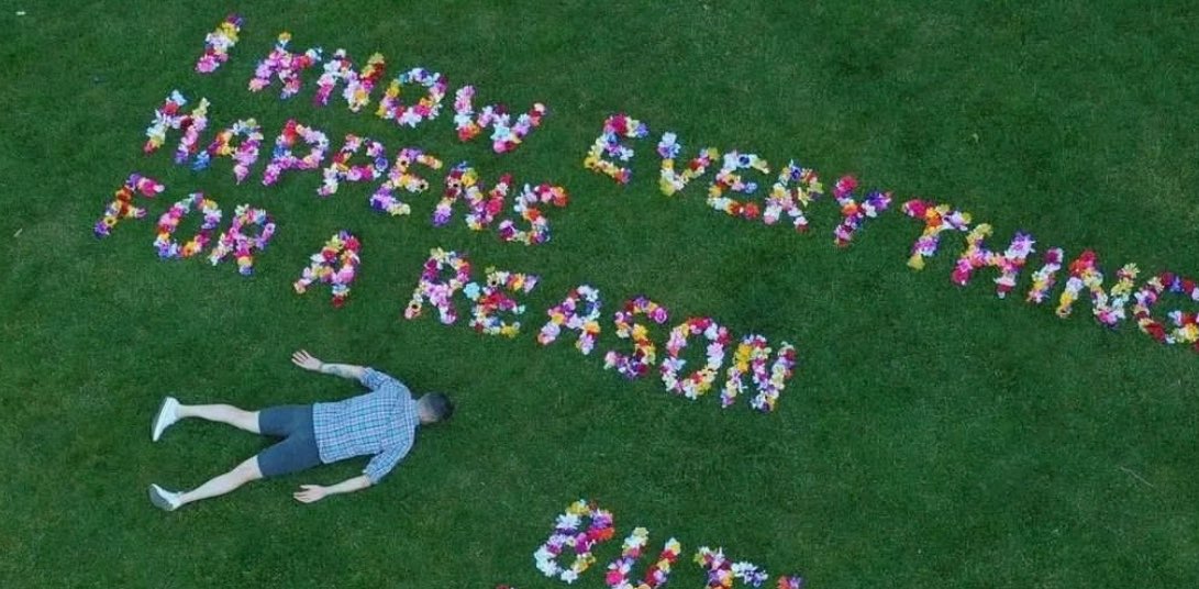 шагающие banner