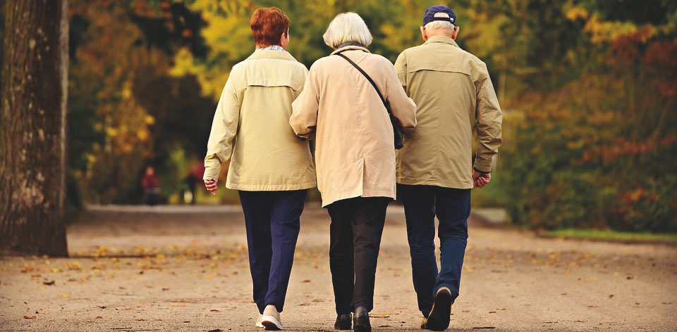 Molina CSS Walking banner