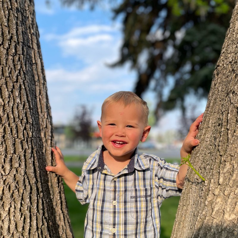 Ellsworth Family logo