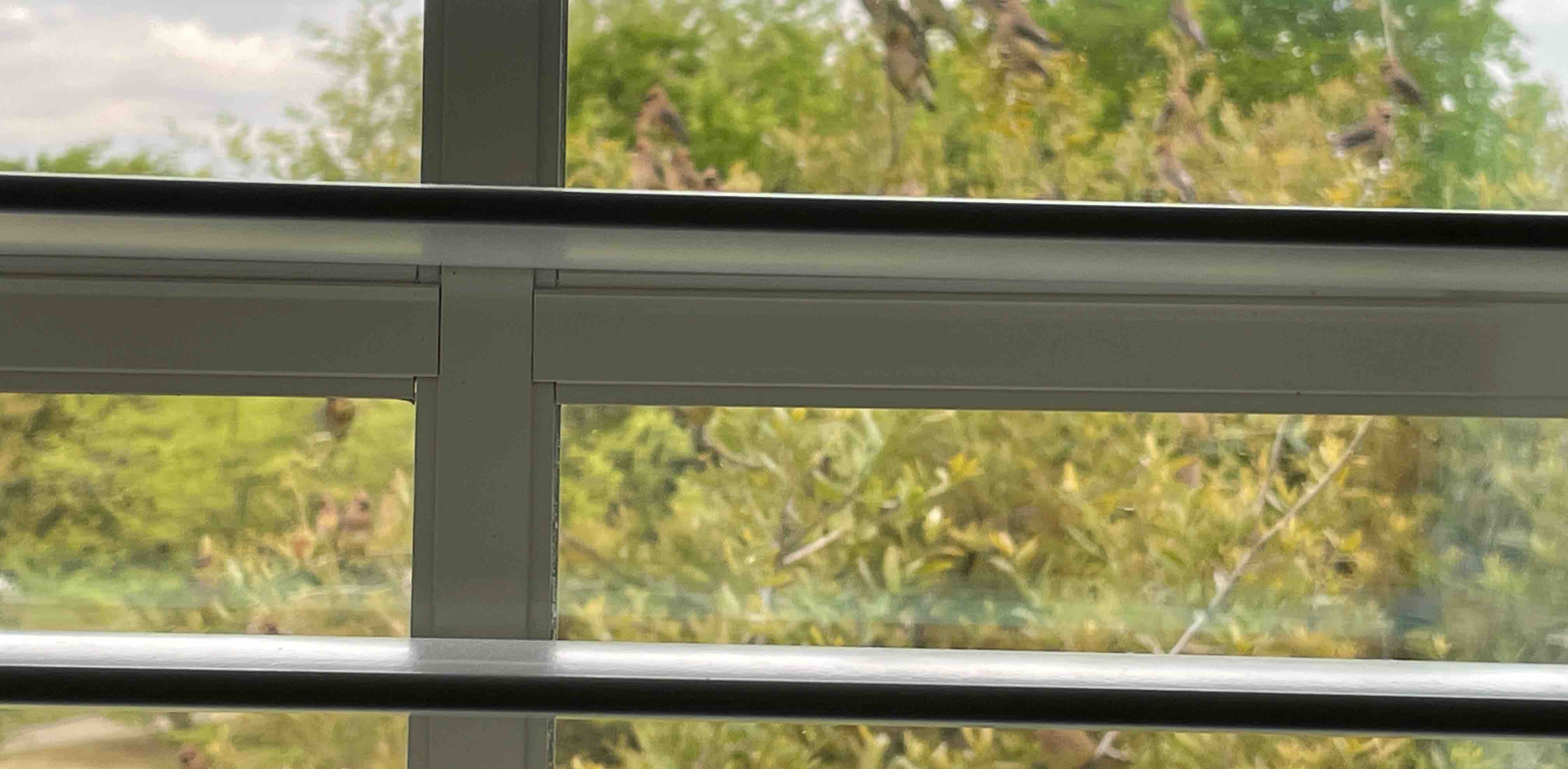 Crazy 7 Family banner