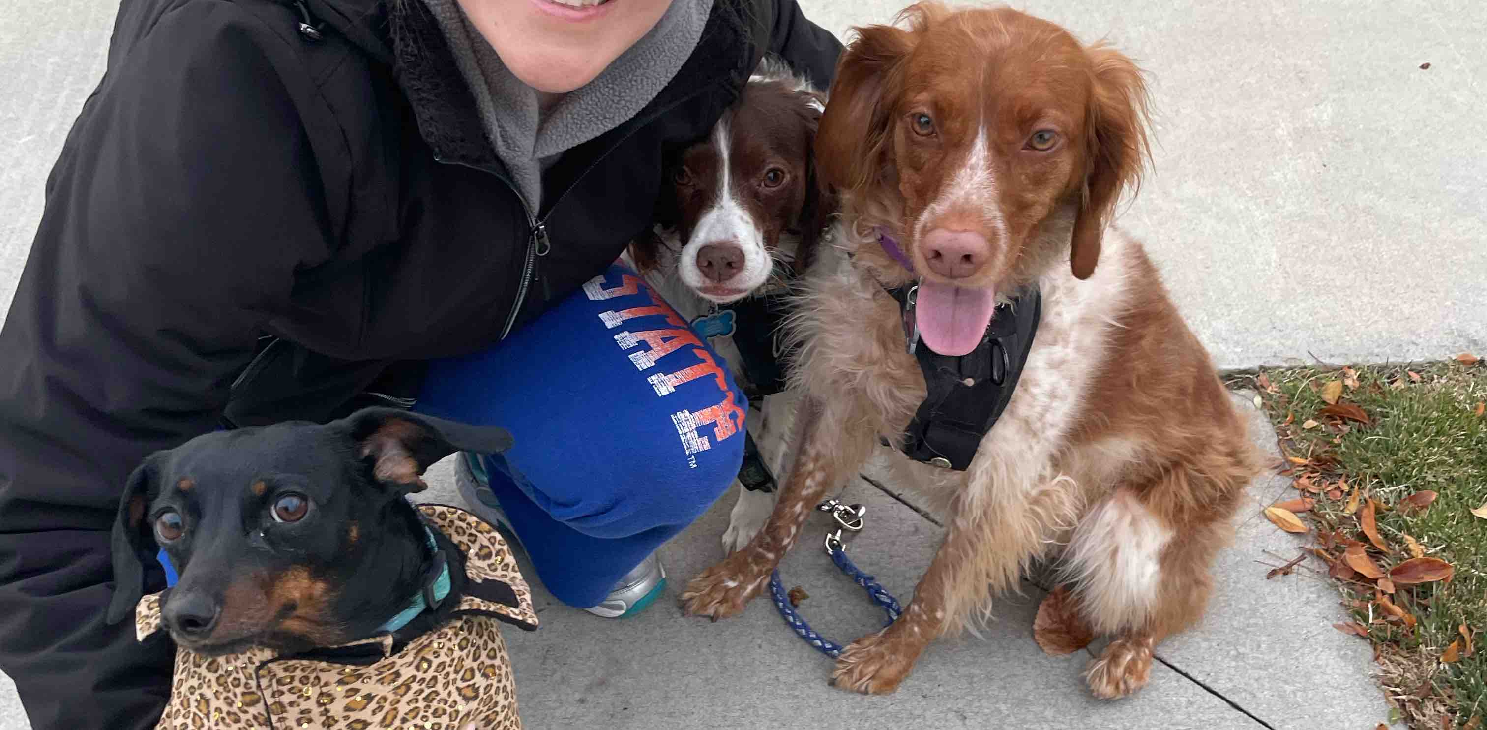 Lots of Steps banner