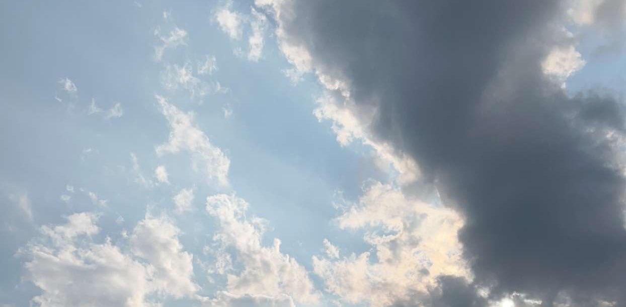 AIH Awareness banner