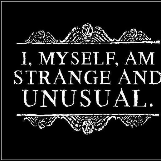 🦇Spooky Group🦇 logo