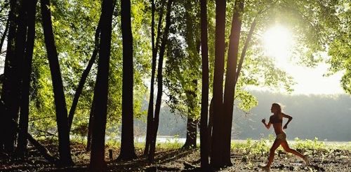 The Stretchers 🏃 banner