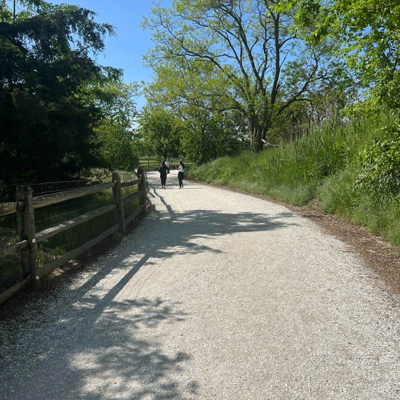 one day a the time! logo