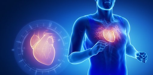 Family walkers banner