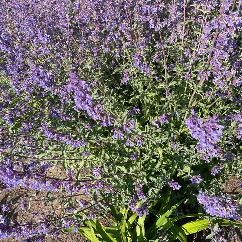 R2 kustībā… logo