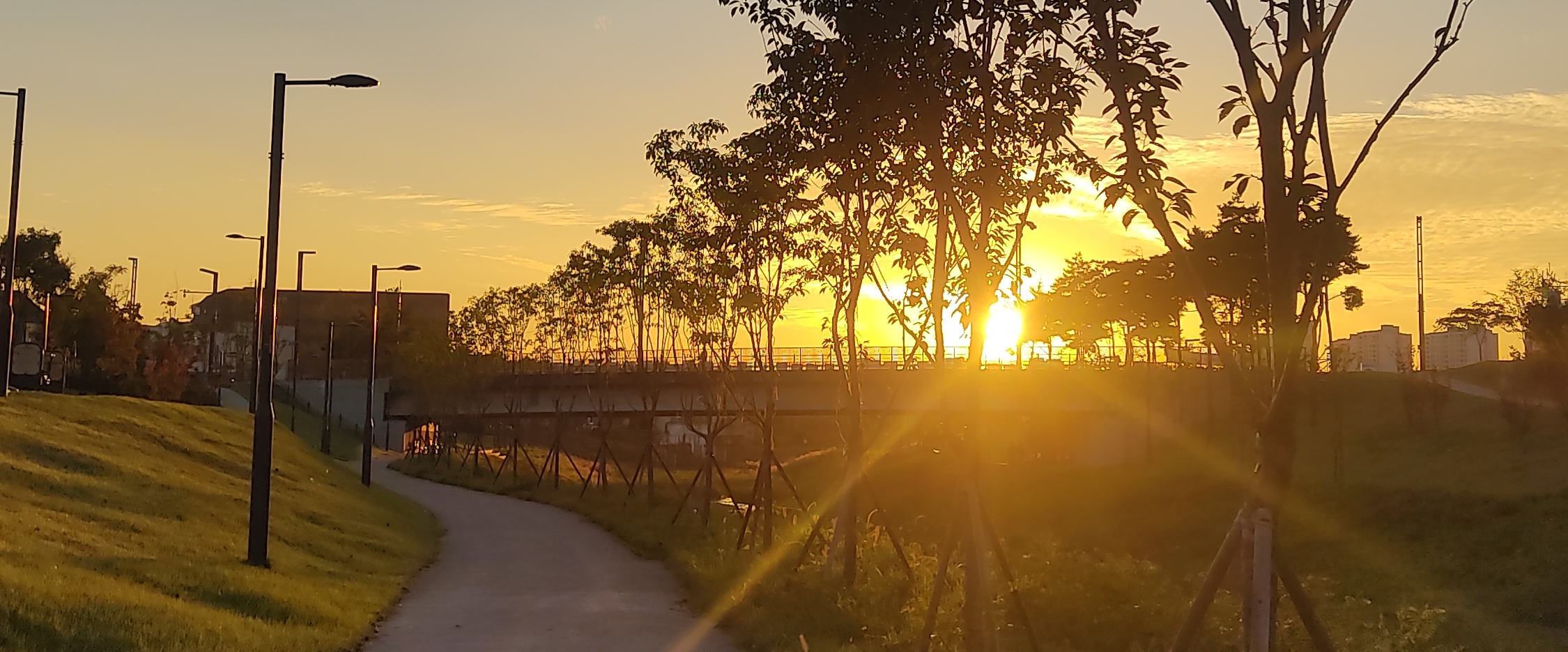 동탄2. 그냥걷자. banner