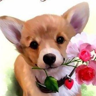 Pet Pacer Pace posts logo