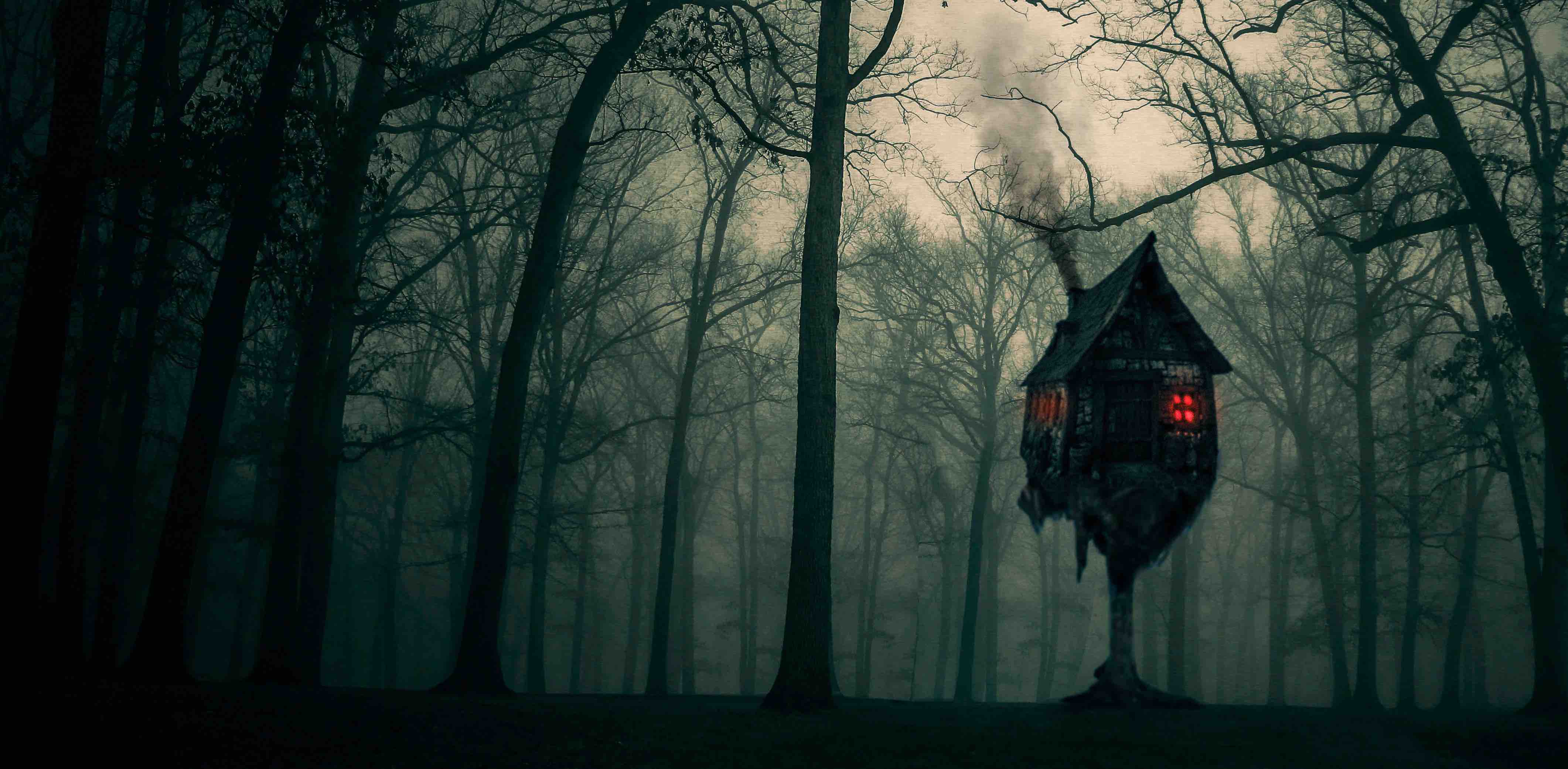 Country Tales Collective banner