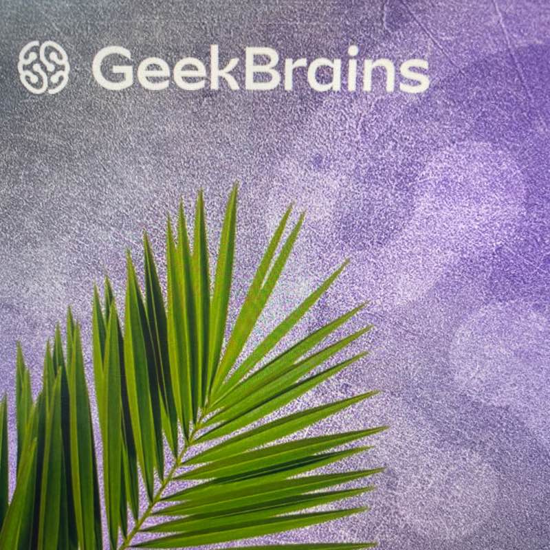 GeekBrains step challenge logo