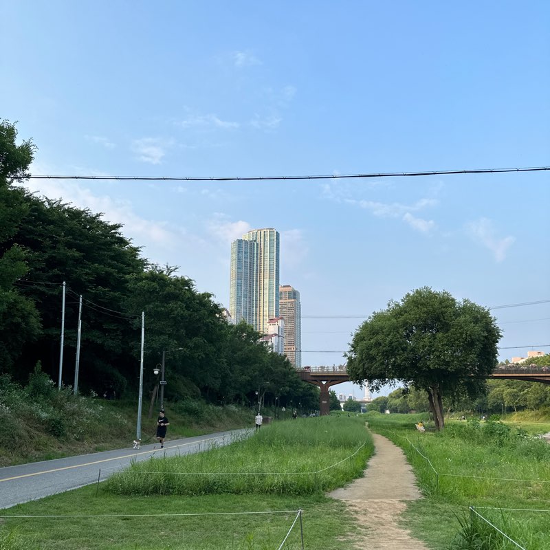 양재천 걷고, 뛰기. 서로 응원하고 격려해요. logo