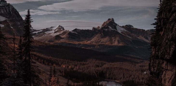 weight loss ladies- walking banner