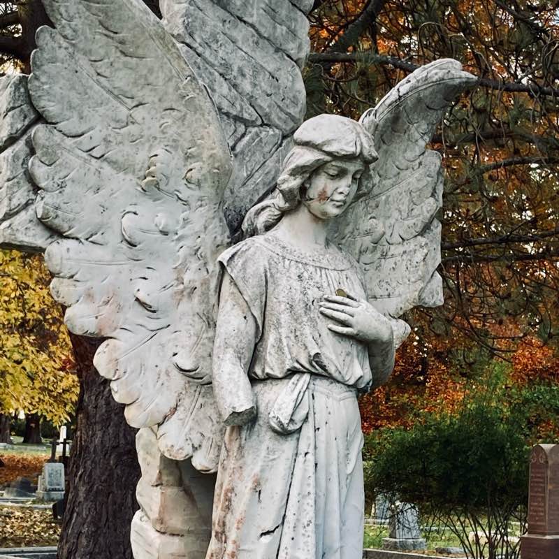 The Cardiac Crew logo