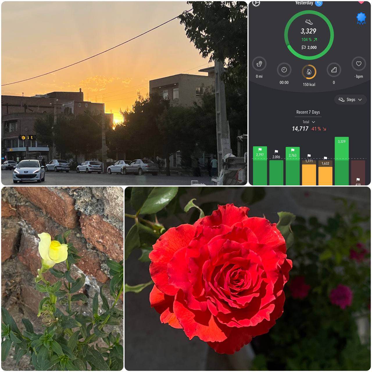 چالش پیاده روی راه هنرمند logo