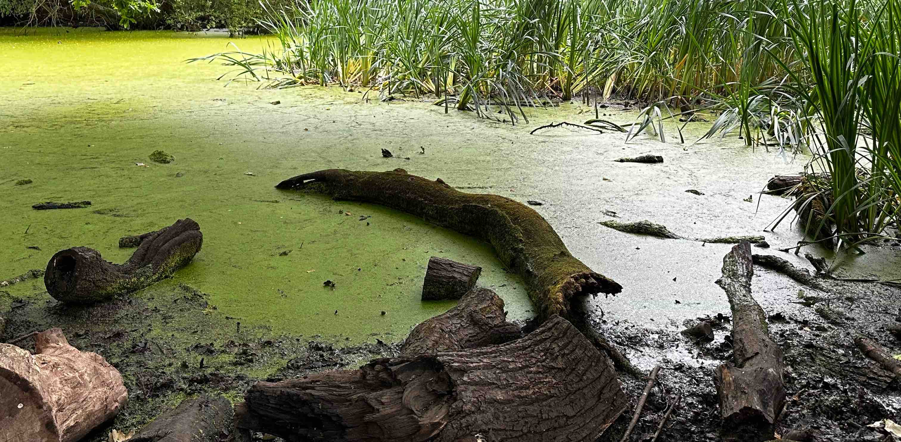 WALK, ENJOY, GET FIT😂 banner