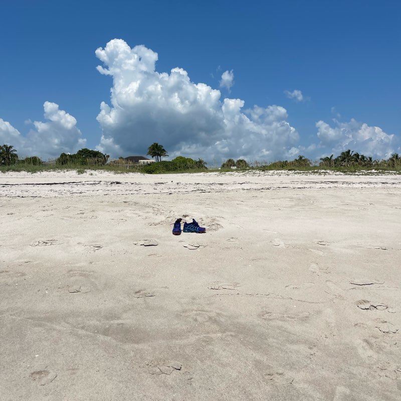 True Steppa’s Only logo