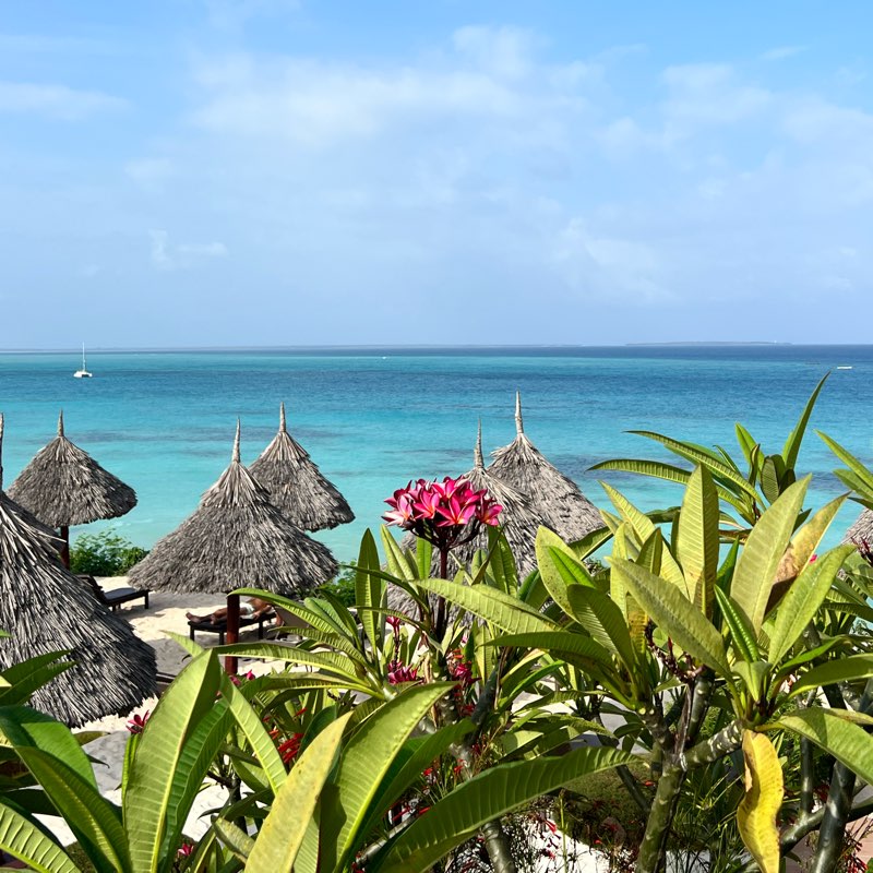 Поход Фей к стройности logo