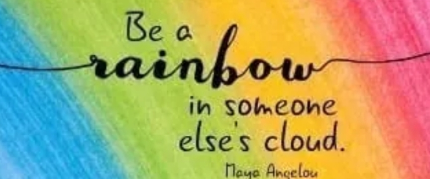 Plushies run for tolerance banner