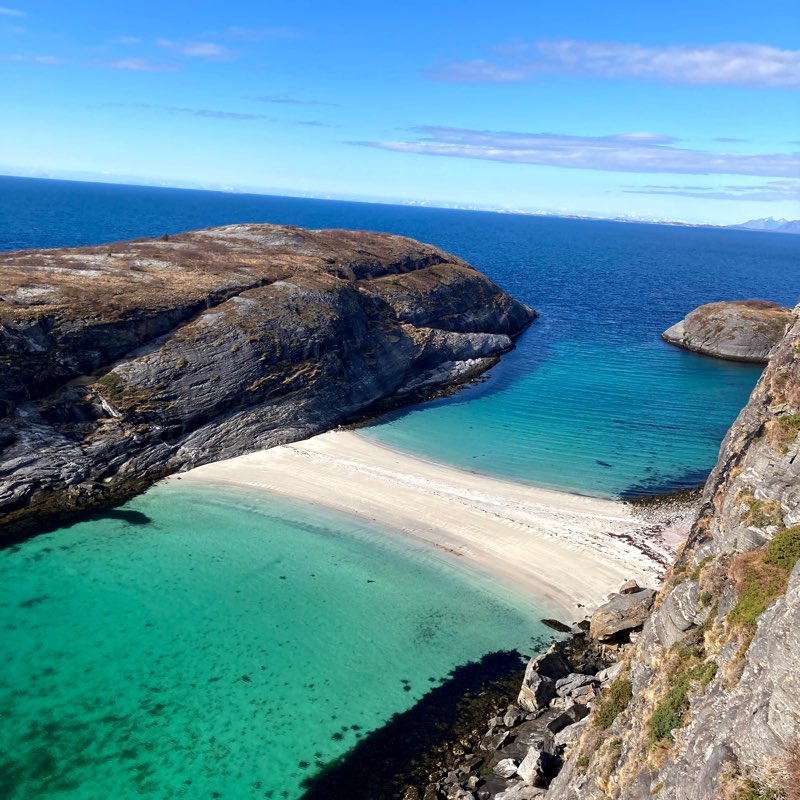 🌍AROUND THE WORLD🌎 logo