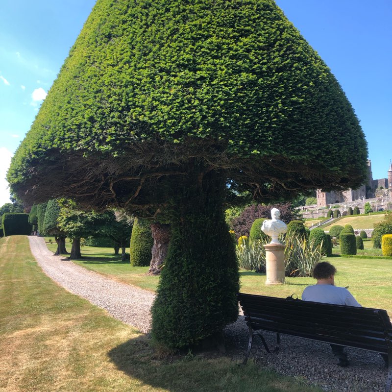 Voyages et découvertes😎 logo