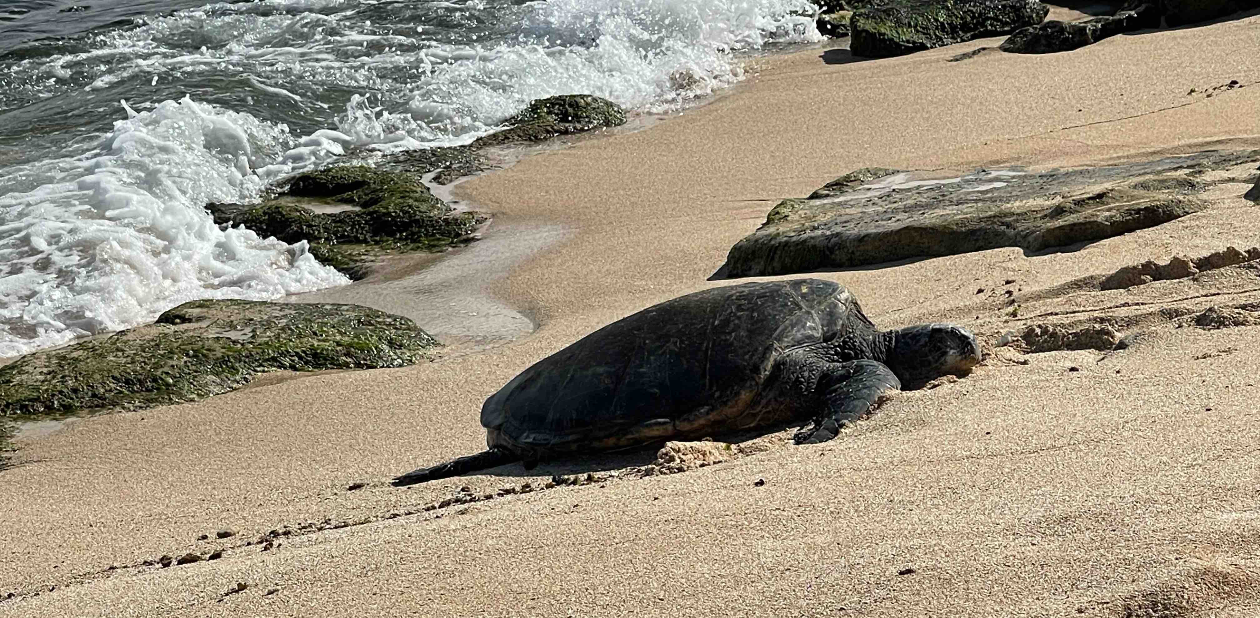 Infinite Forever! banner