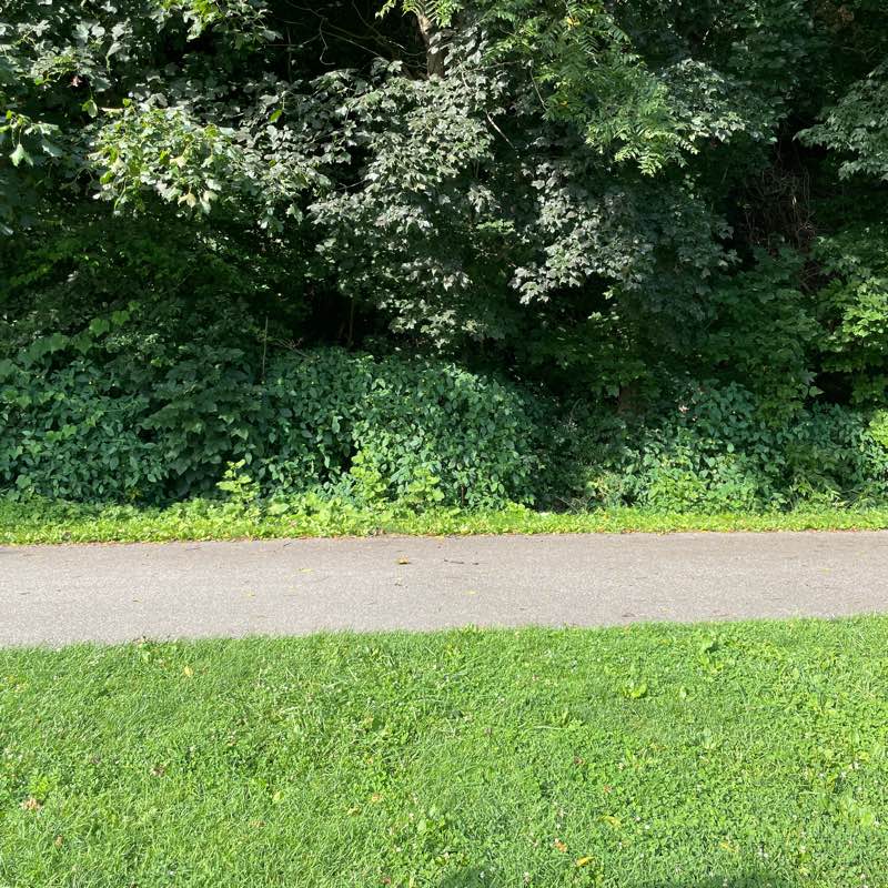 I❤️Pittsburgh logo