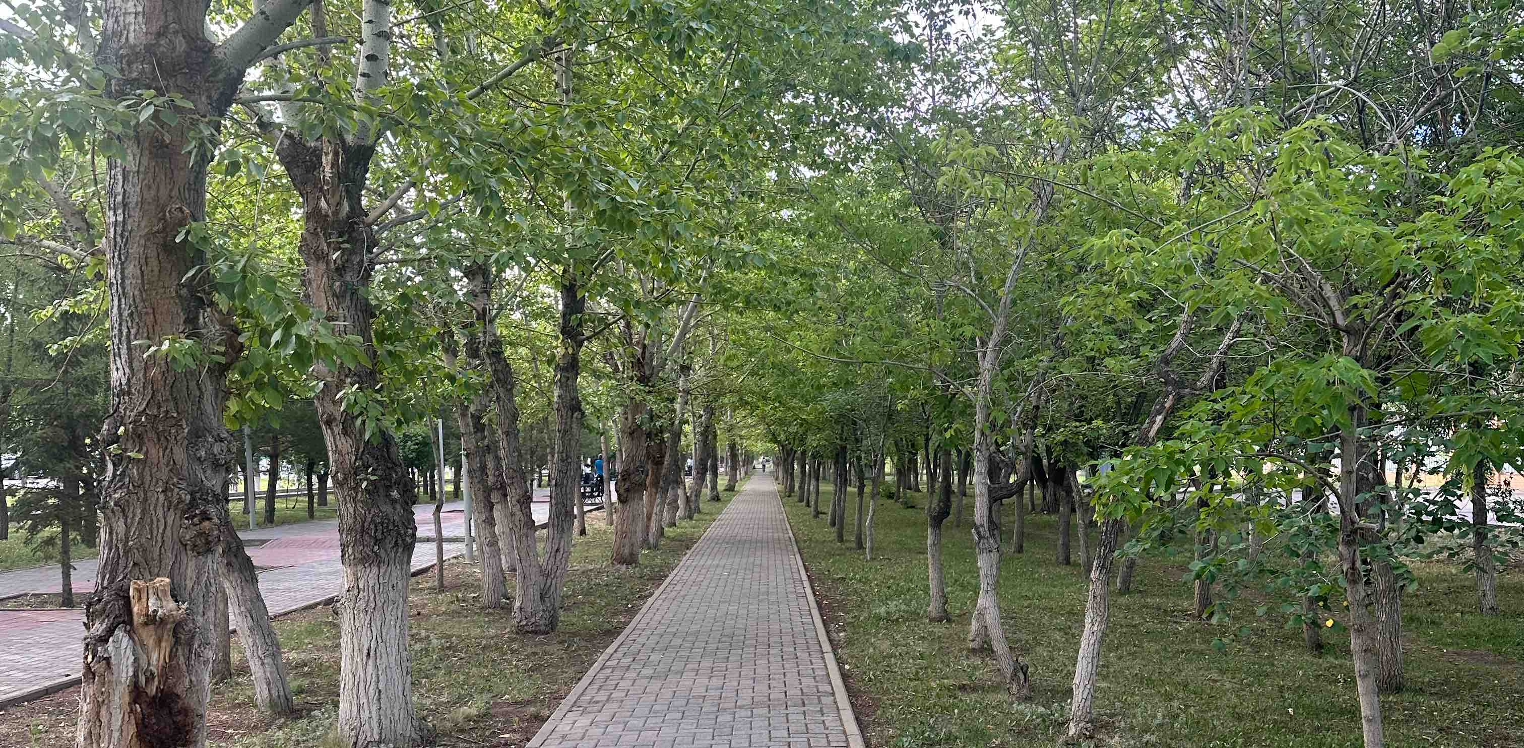 коучинг banner