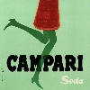 CamPasso logo