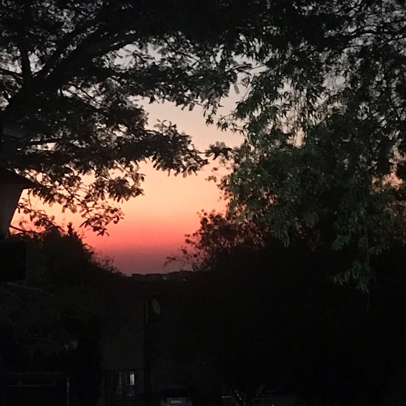 Run for freedom logo