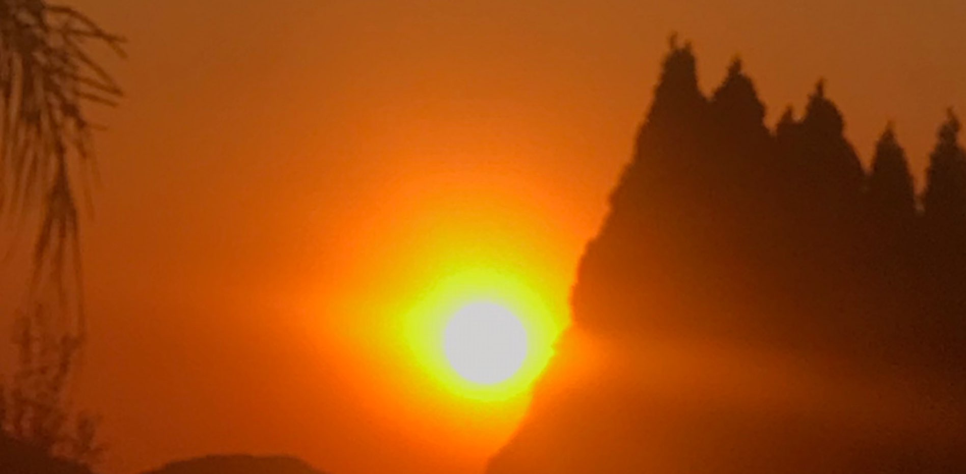 Run for freedom banner