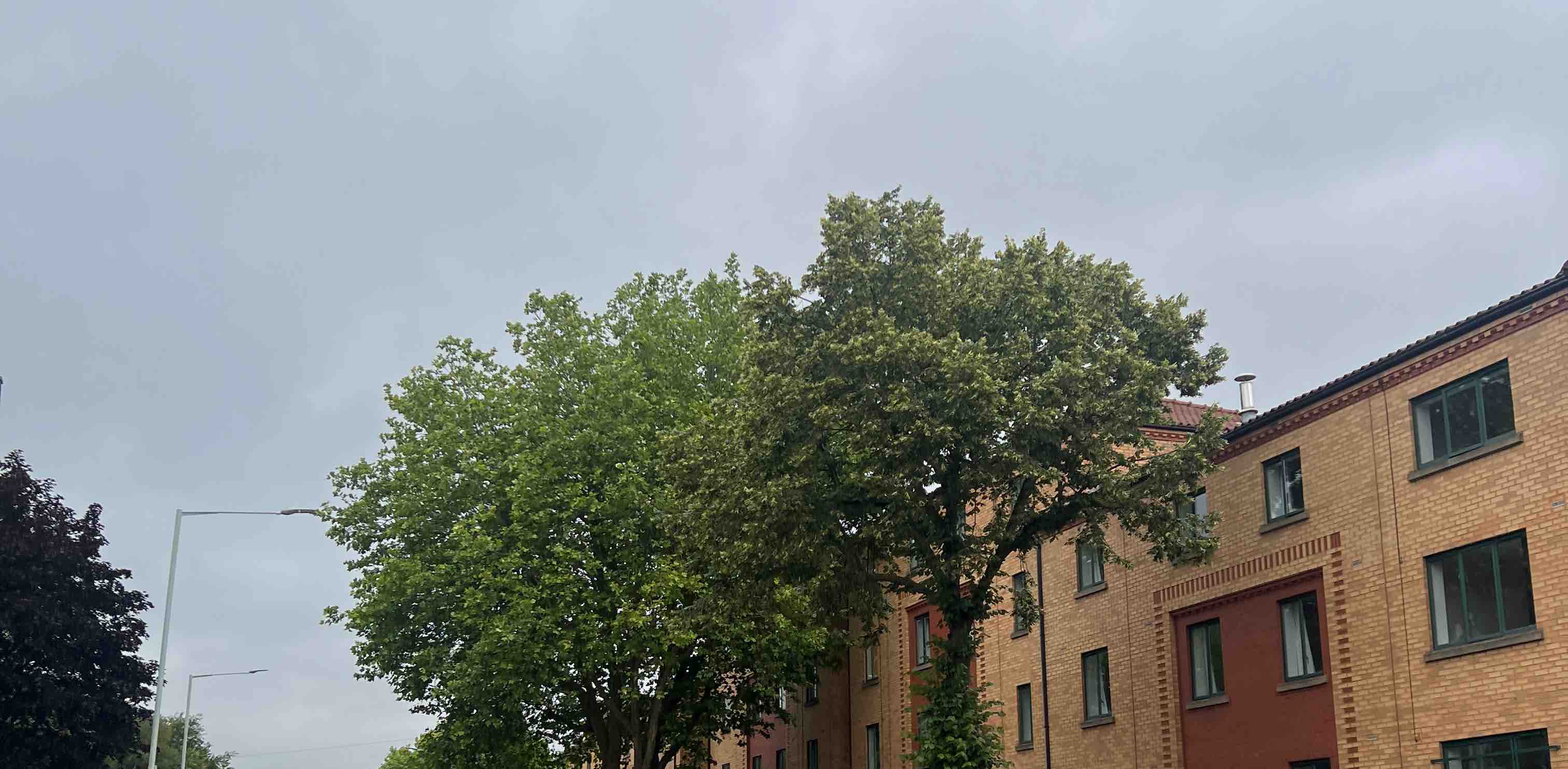 #Unbigthisfat banner