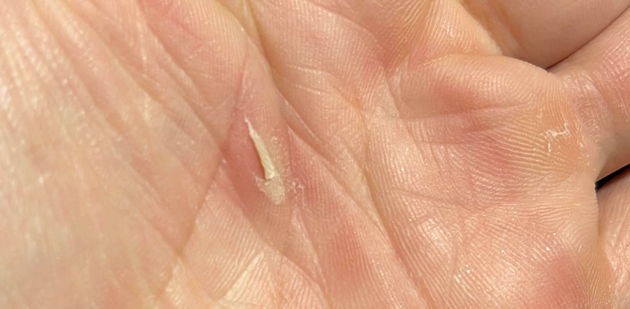 ايوب وبدريه banner