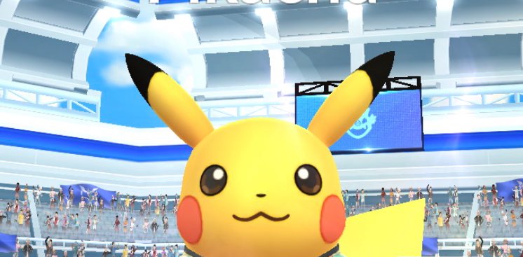 Pokemon Go players banner