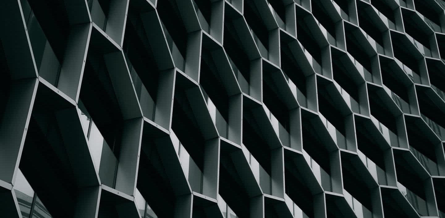 Lithuanians🇱🇹 banner