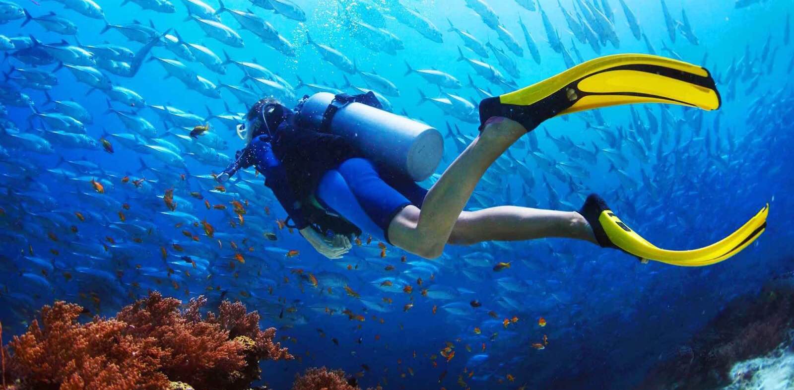 Madrid caminando banner