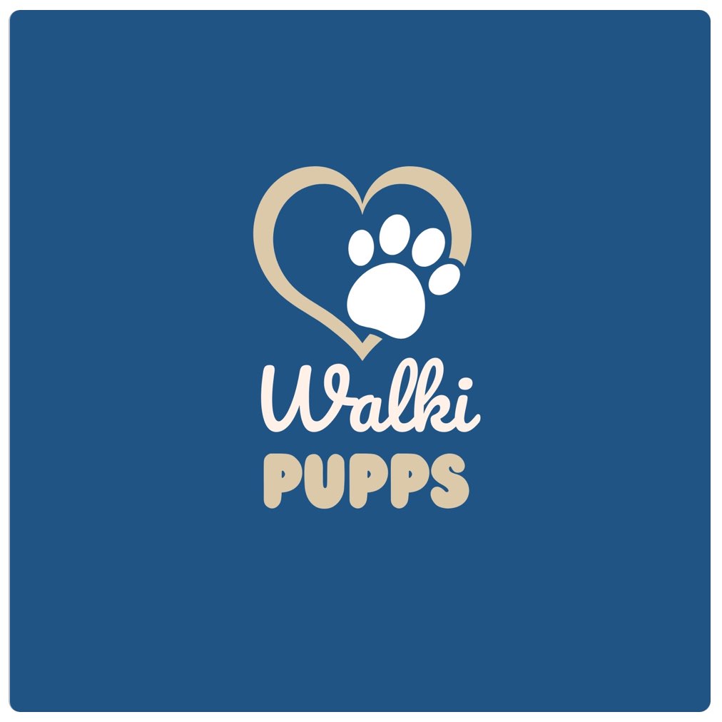 Walking Talkies logo