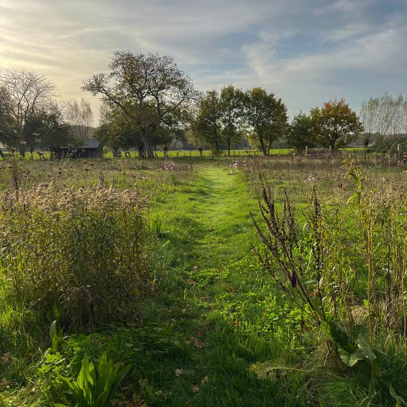 The Walking Limbs logo