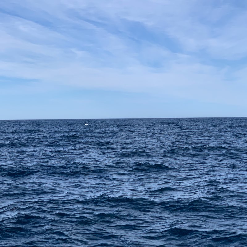 September 2023 Challenge logo