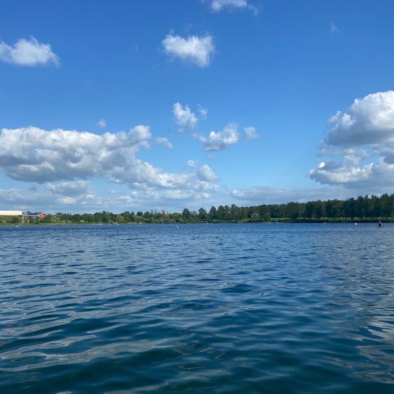 Akki and Mickey logo