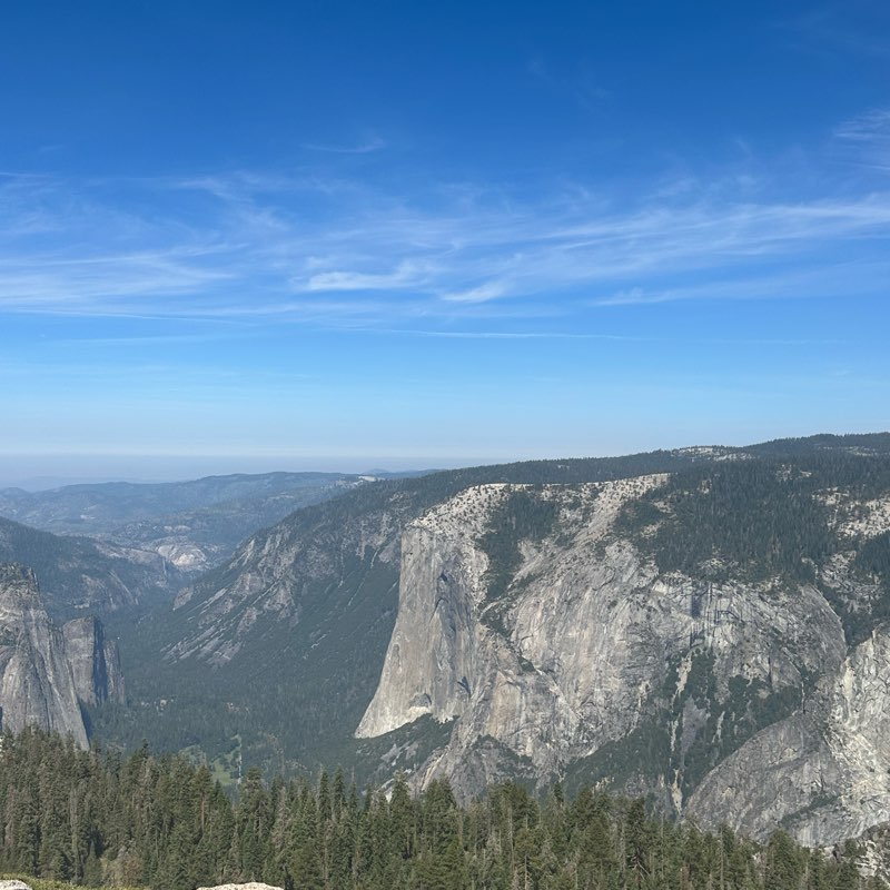 August Walking Group logo