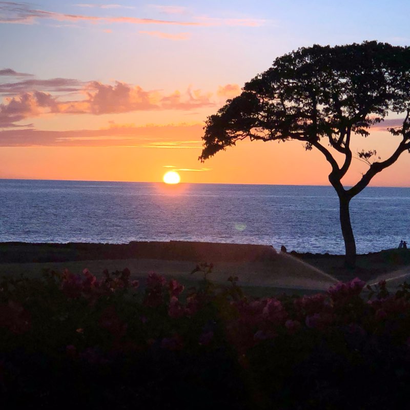 2023 Wellness Group logo