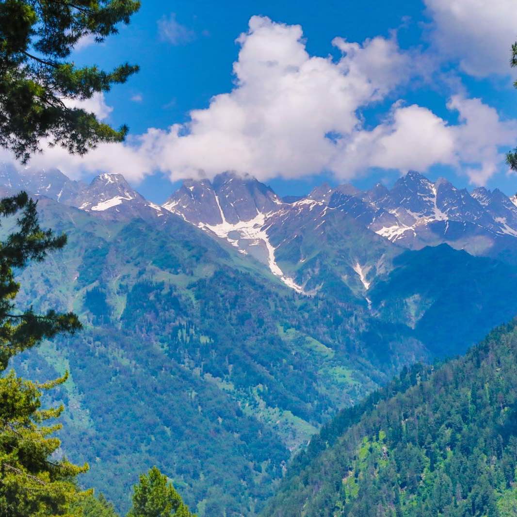 DFW Marathi Fitness logo